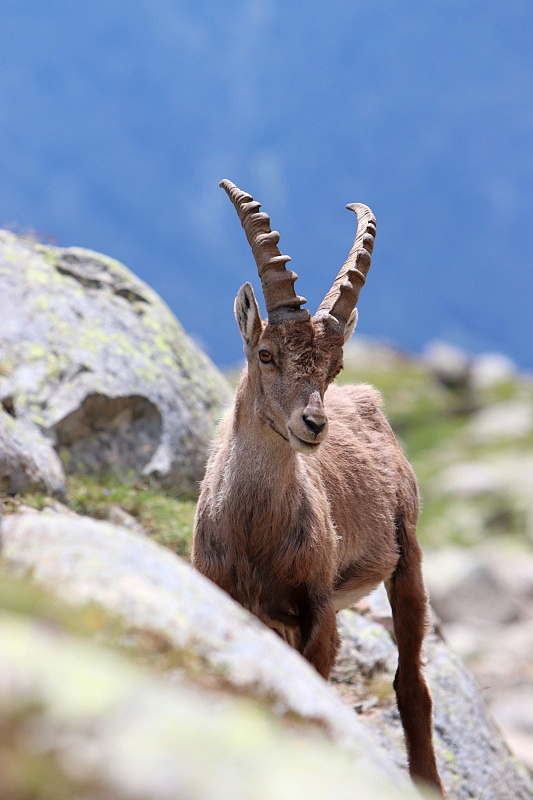 Chamonix